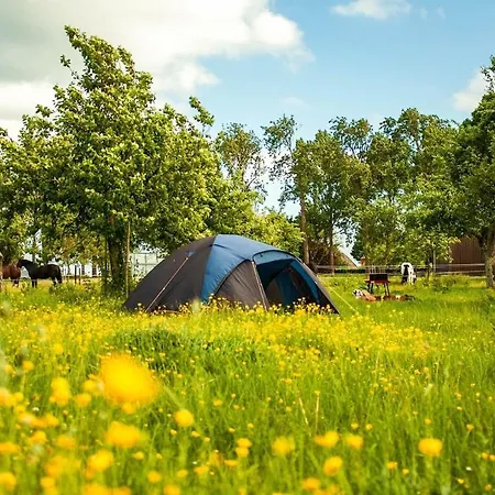 Group Huize Blokland On Nature Farm - 14p Hem