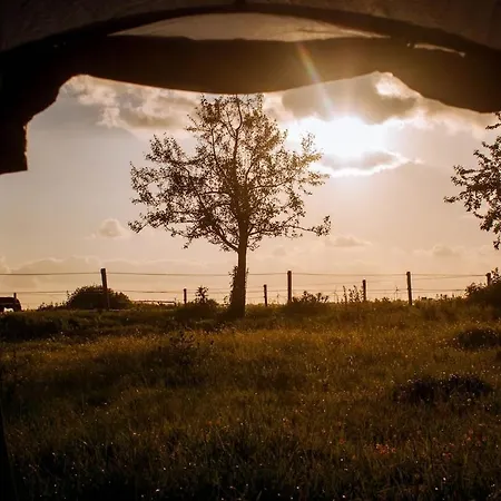 Group Huize Blokland On Nature Farm - 14p Feriehus *