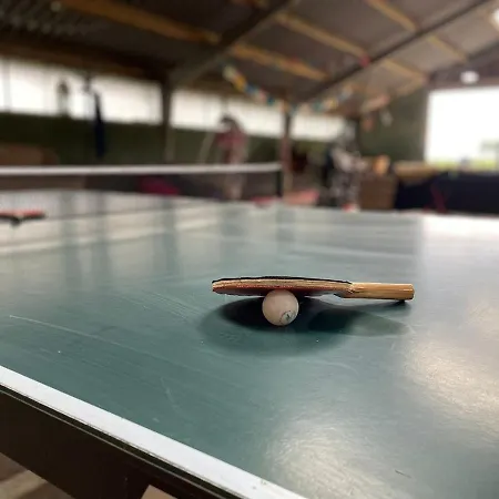 Feriehus Group Huize Blokland On Nature Farm - 14p