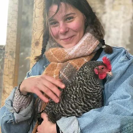 Feriehus Group Huize Blokland On Nature Farm - 14p Hem