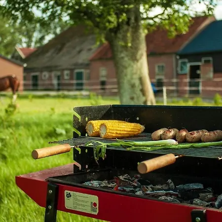 Feriehus Group Huize Blokland On Nature Farm - 14p Hem