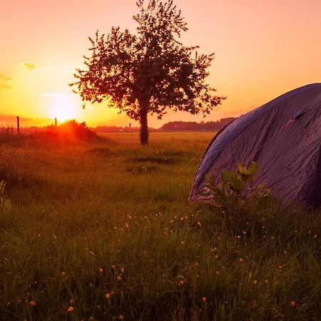 Group Huize Blokland On Nature Farm - 14p *