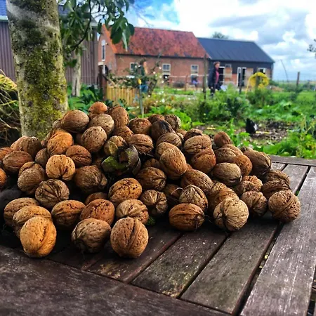 Group Huize Blokland On Nature Farm - 14p Hem