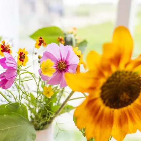 Group Huize Blokland On Nature Farm - 14p Tatil Evi *